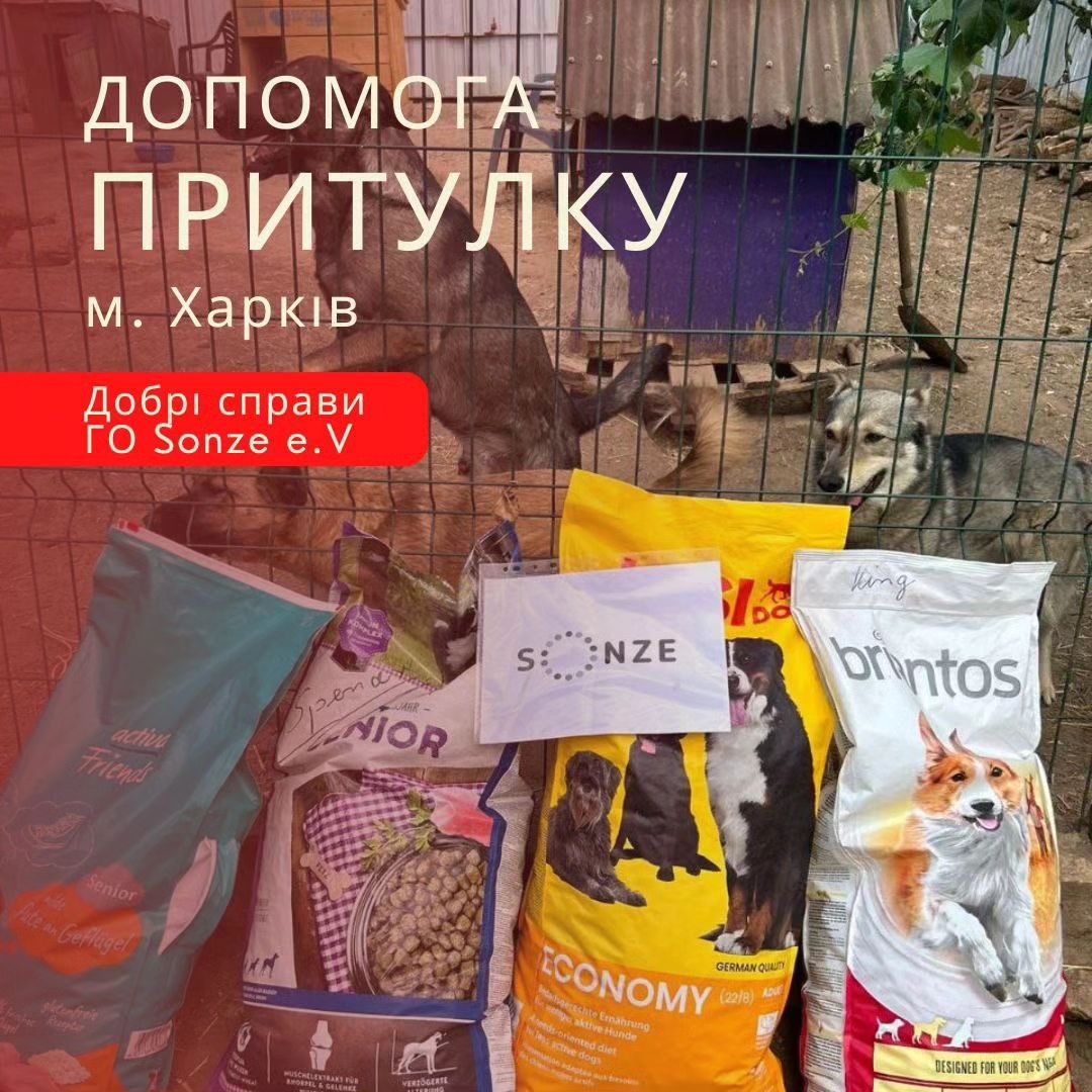 Громадська організація Sonze e.V, відома своєю невпинною турботою про нужденних, продемонструвала, що її співчуття поширюється не лише на людей, а й на тварин.